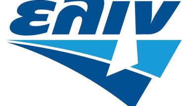 logo elin