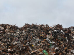 garbage