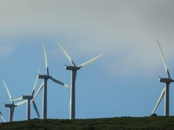 wind-farm-435790_1280