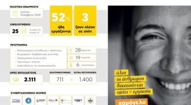 HoMellon_Infographic