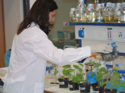 Έρευνα ΙΝΑΒ