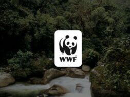 wwf_logo