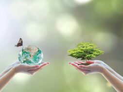 World environment day and go green with csr concept with tree planting on volunteers’ hand. Element of the image furnished by NASA