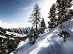 mountains-snow-winter-forest-outdoors-snow-mountain-cold (1)