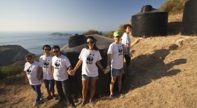 Zakynthos Volunteering – Summer 2011