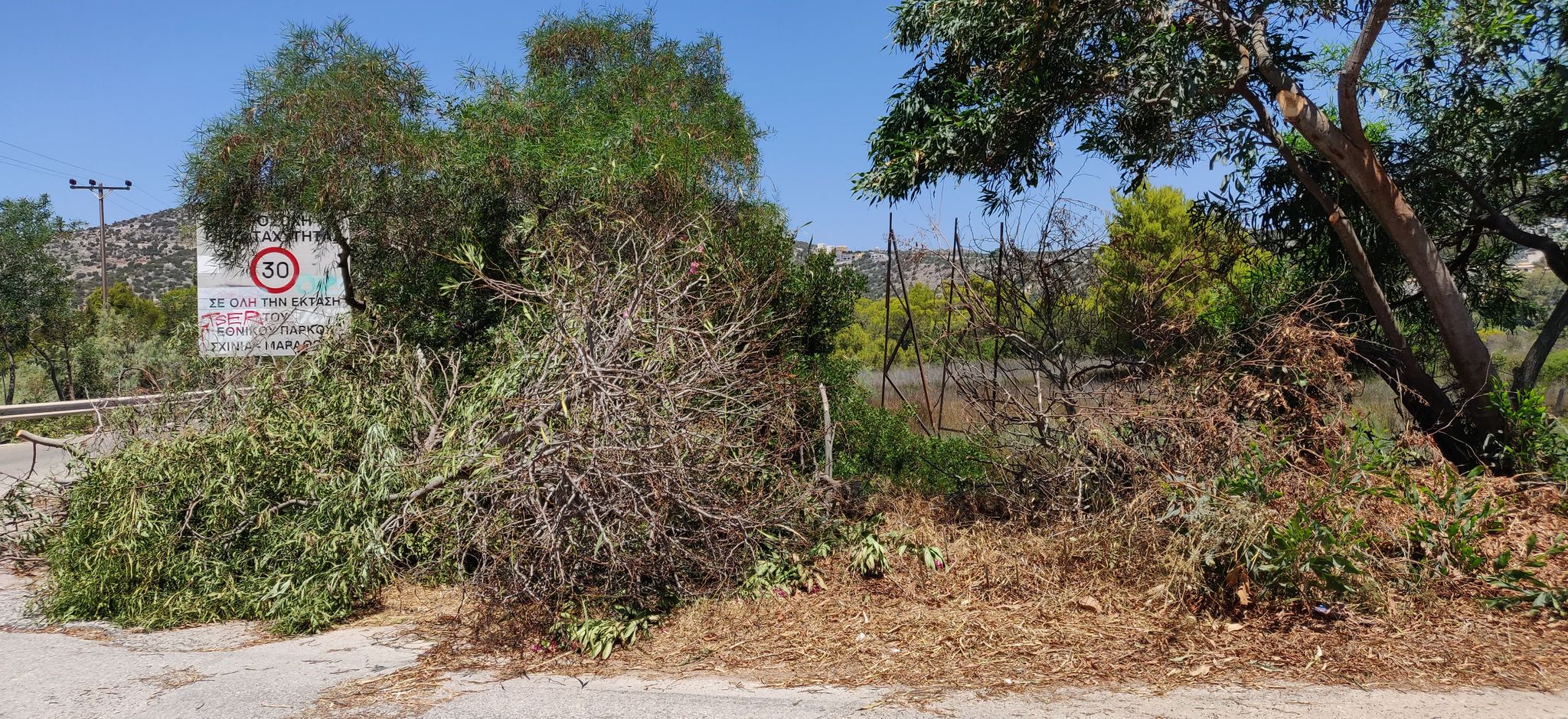 Οικολόγοι Πράσινοι: Εφτά περιοχές φυσικού πλούτου της Ευρώπης σε κίνδυνο