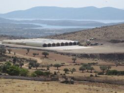polygreen