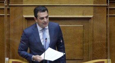 Κ. Σκρέκας Βουλή 1