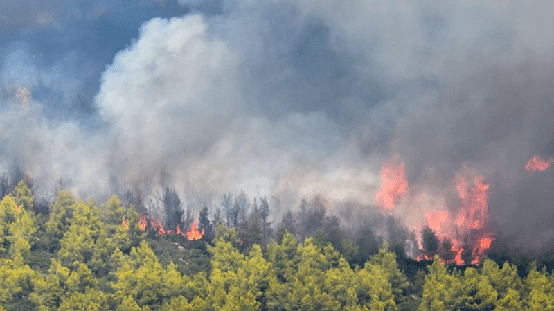 Διπλασιάστηκε παγκοσμίως η επιφάνεια των δασών που καταστρέφεται από τις πυρκαγιές
