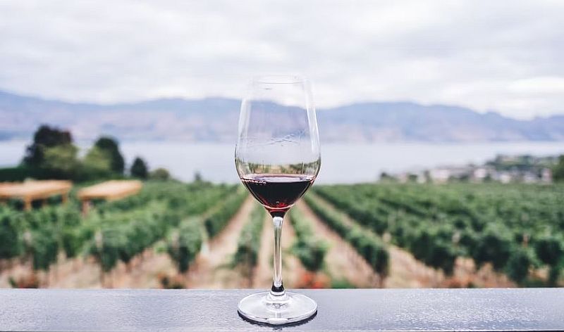 Πώς η κλιματική αλλαγή μπορεί να επηρεάσει την γεύση του κρασιού;
