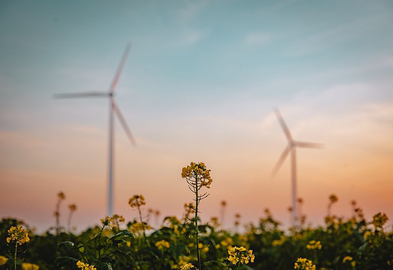 H Enel Green Power Hellas πρωτοπορεί στην προστασία του περιβάλλοντος και την πράσινη μετάβαση