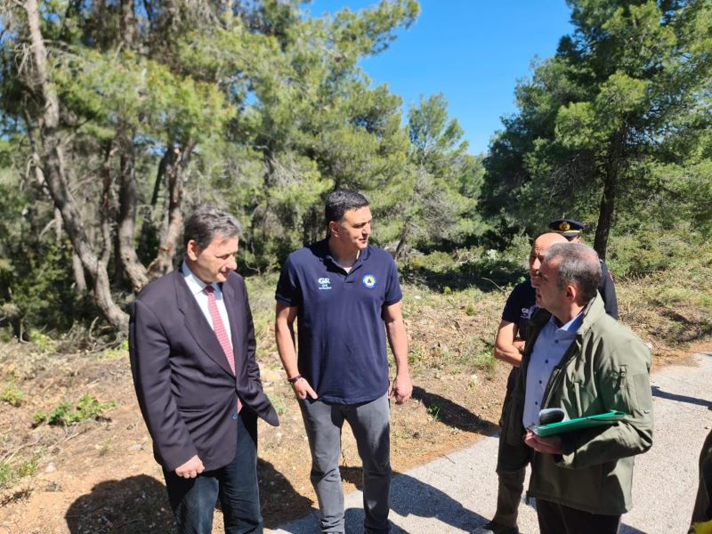 Επίβλεψη έργων πρόληψης και αντιπυρικής προστασίας στην Δ. Αττική