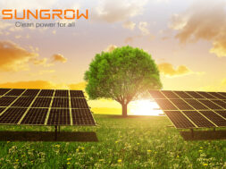 Solar energy panels and tree on meadow at sunset. Sustainable re