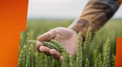 PPC GAIA agrotiko