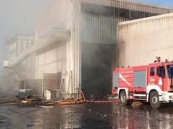 fotia-ergostasio-full