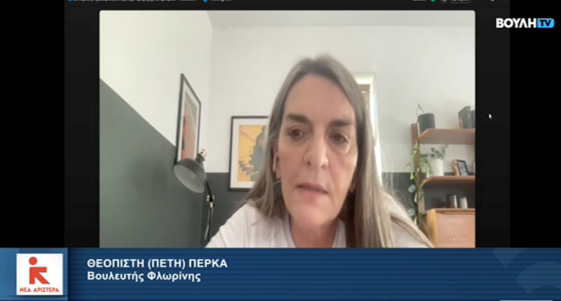 Π.Πέρκα: Στο πρώτο βήμα «ιδιωτικοποίησης» του αγαθού της ασφάλειας έναντι των φυσικών καταστροφών προχωρά η κυβέρνηση ΝΔ