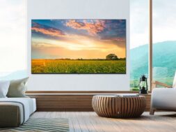 LG HOSPITALTY TVs