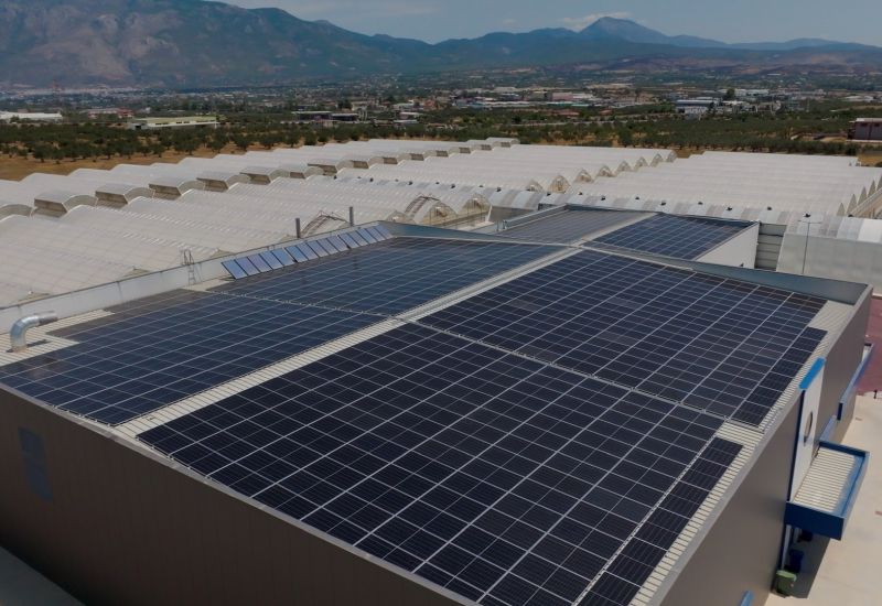 Η Tikun Olam Ελλάδος μειώνει το περιβαλλοντικό της αποτύπωμα