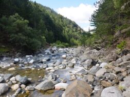 Ανάντη της υδροληψίας 1 (c) Καλλιστώ (002)