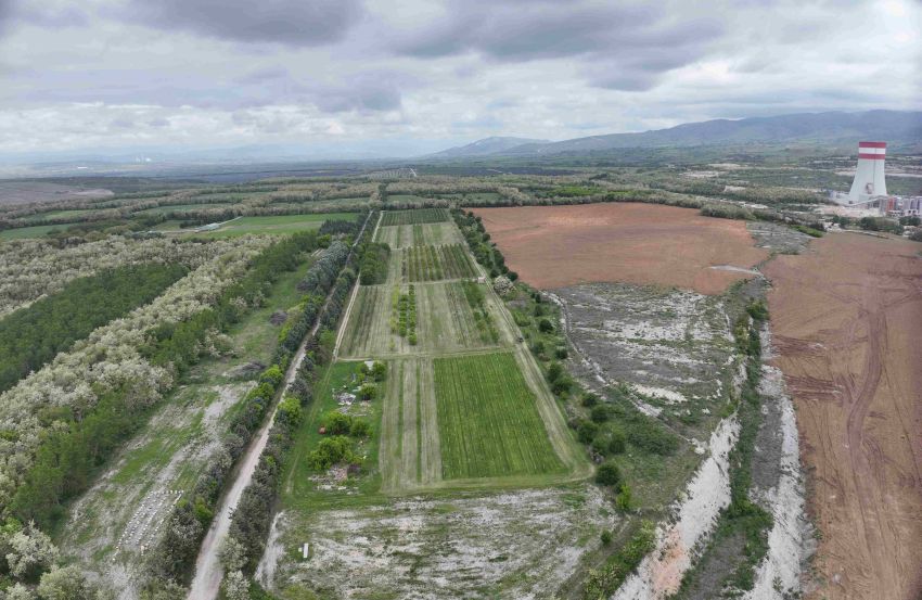 ΔΕΗ: Ιδρυτικό μέλος στη διεθνή πρωτοβουλία «Συμμαχία  για τη Βιώσιμη Διαχείριση της Βιοποικιλότητας»
