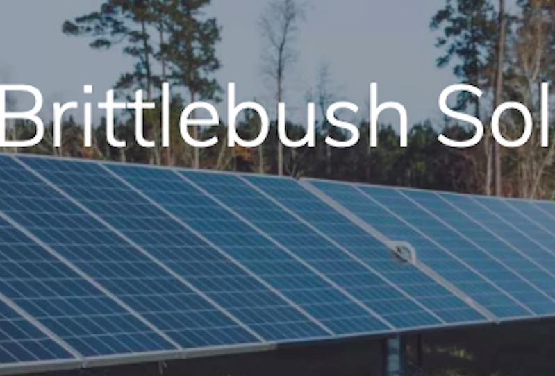 EDP Renewables, Salt River Project και Meta αποκαλύπτουν το ηλιακό πάρκο Brittlebush στην Αριζόνα