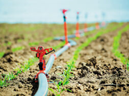 odigos-ardeusi-agroton