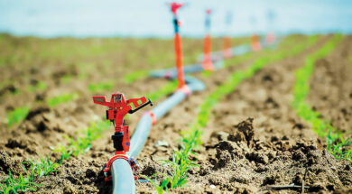 odigos-ardeusi-agroton