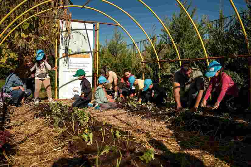 ΔΕΗ και Open Farm προωθούν τη βιώσιμη γεωργία στους μαθητές μέσω του “Carbon Farming Schools”