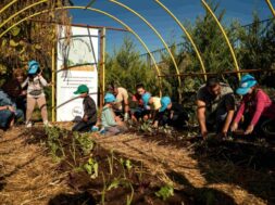 ΔΕΗ Carbon Farming Schools 1