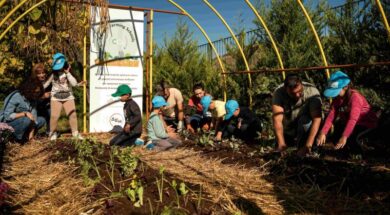 ΔΕΗ Carbon Farming Schools 1