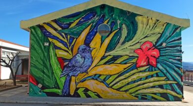 Φωτογραφία_1