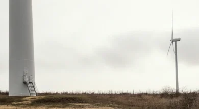 wind-turbines-field-with-copy-space-800-px
