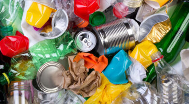 Copyright – WEB (Scribo) – 3