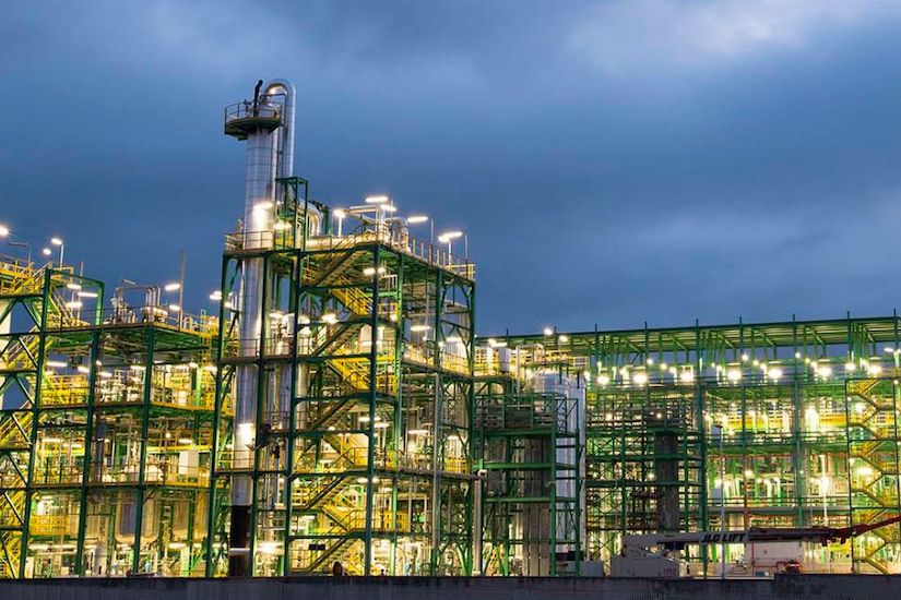 Το ερευνητικό έργο RUNFASTER4EU θα επιδείξει καινοτόμες μεθόδους καλλιέργειας ελαιούχων φυτών