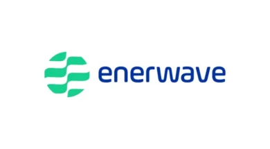 logotypo-enerwave-dnenlarge-800-px