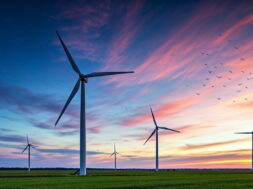 Bokeh,Photo,Of,Wind,Turbines,Birds